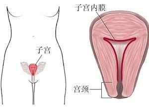 子宫内膜增厚能怀孕吗？