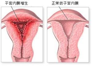 点击查看源网页
